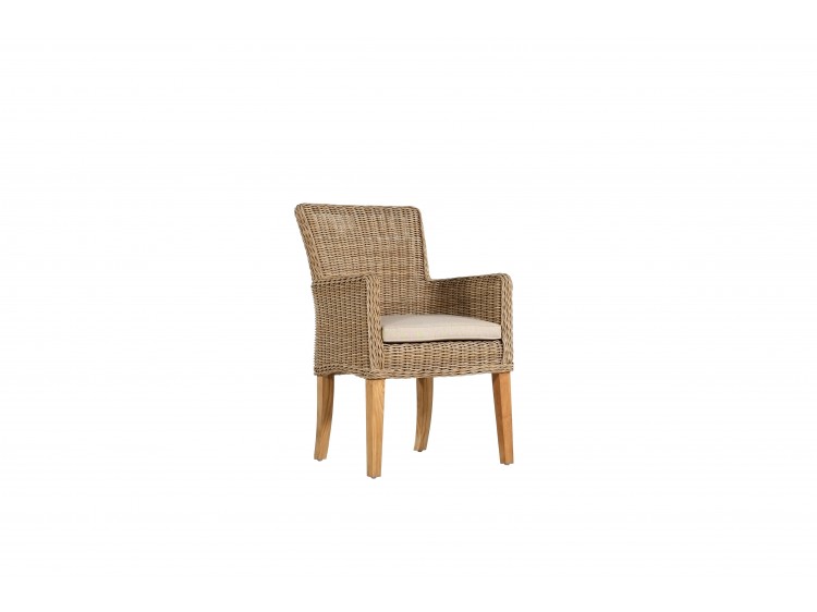 Columbia Dinning Arm Chair With 5 cm Cushion