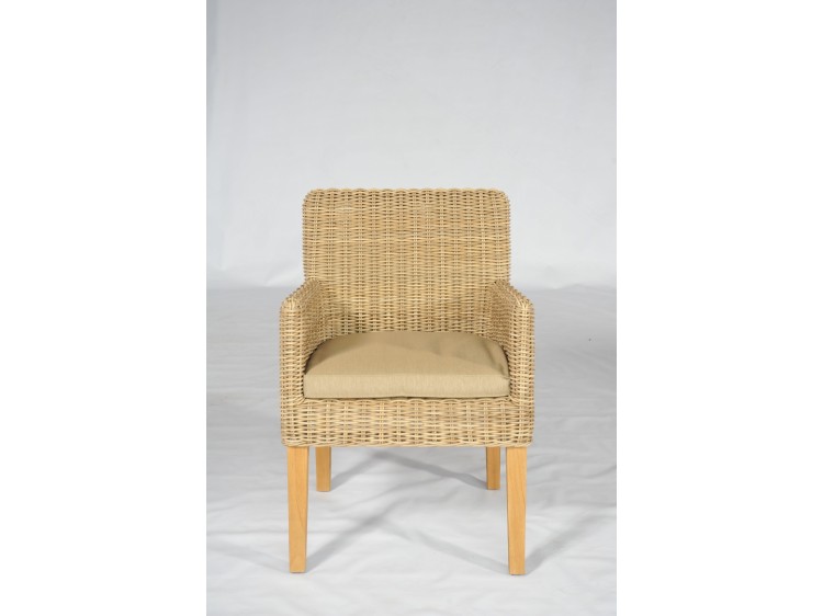 Maui Dining Arm Chair with 5cm cushion