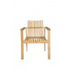 Dining Chair with Cushion